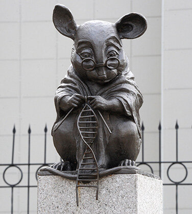 И вопрос : Люди от обезьяны произошли или от мышей?