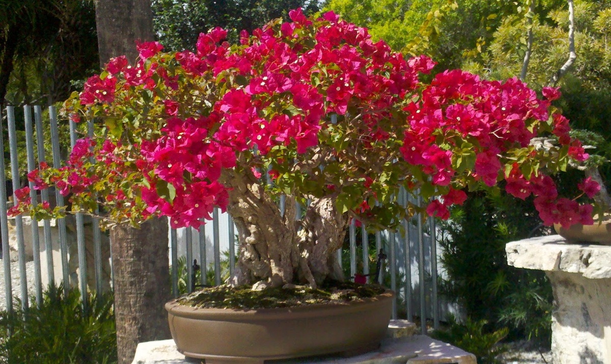 Картинка взята с сервиса Яндекс.Картинки