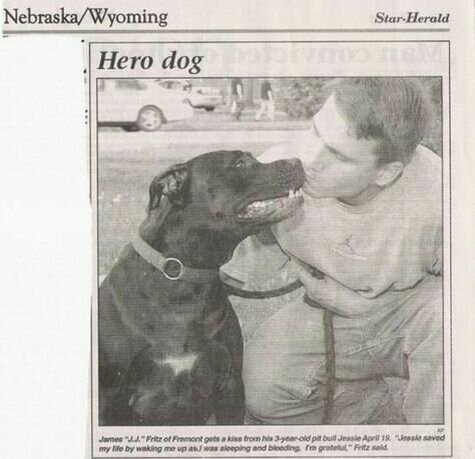 Спасла хозяина, тем что разбудила его