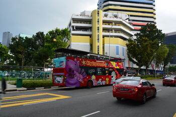 Один из тысяч автобусов Сингапура