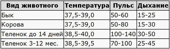 Пользуясь таблицей физиологические нормы температуры Температура тела у коровы Знай ферму Дзен