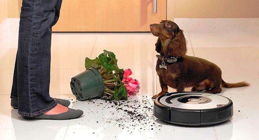 Не ругай меня, круглый всё уберёт.