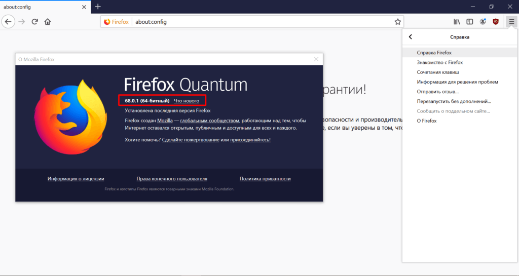 Версия браузера firefox. Firefox не открывает. Firefox сервисы. Узнать версию Mozilla Firefox. Значок фаерфокс.