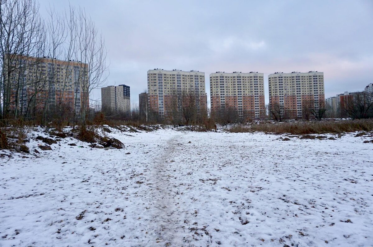 Некрасовка ювао. Некрасовка ювао