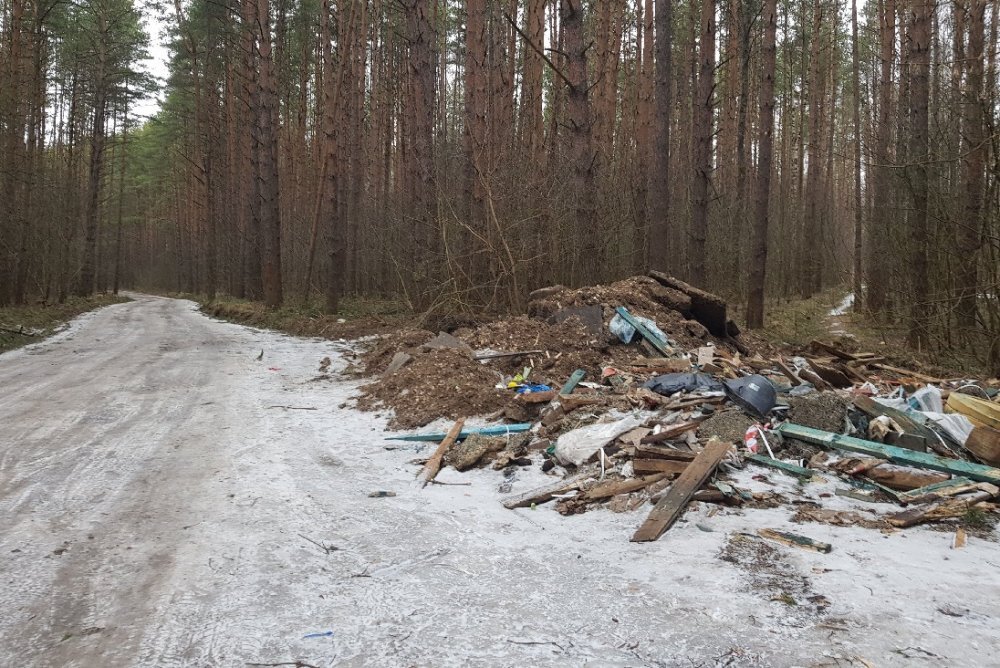 Свалка строительного мусора в лесу. Фото с сайта gradkostroma.ru