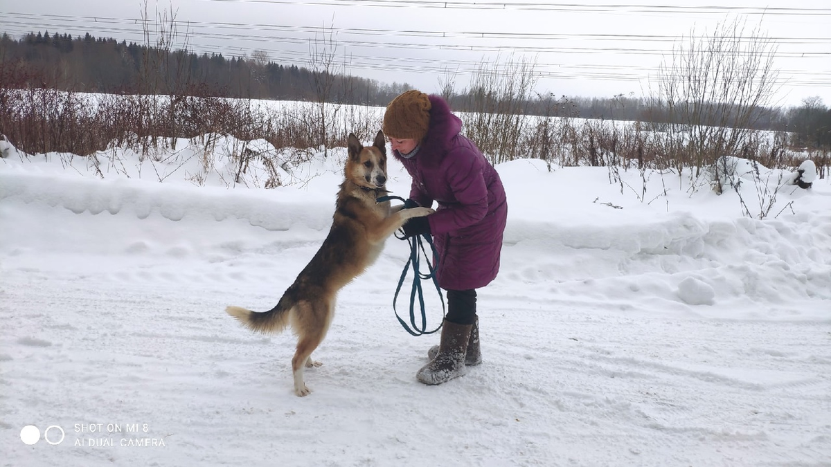 Ласка на прогулке