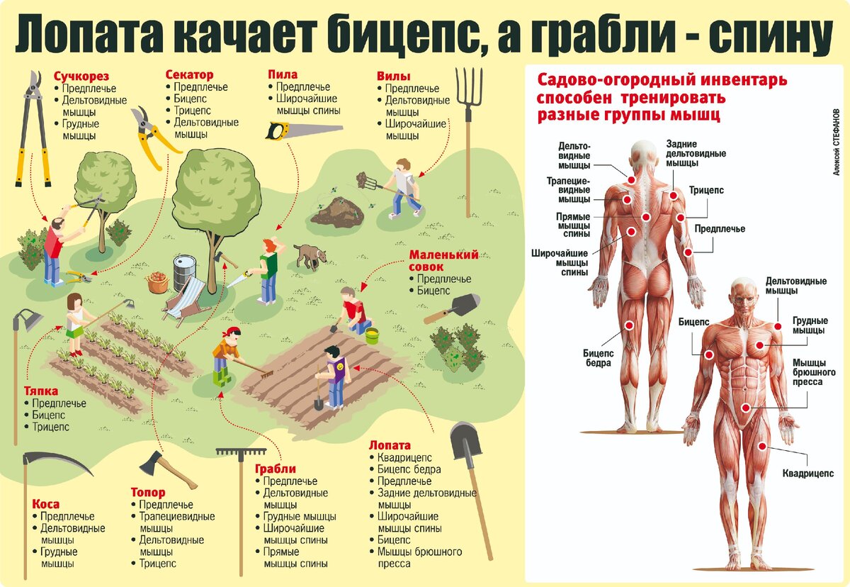 Фитнес для садоводов: правильные упражнения