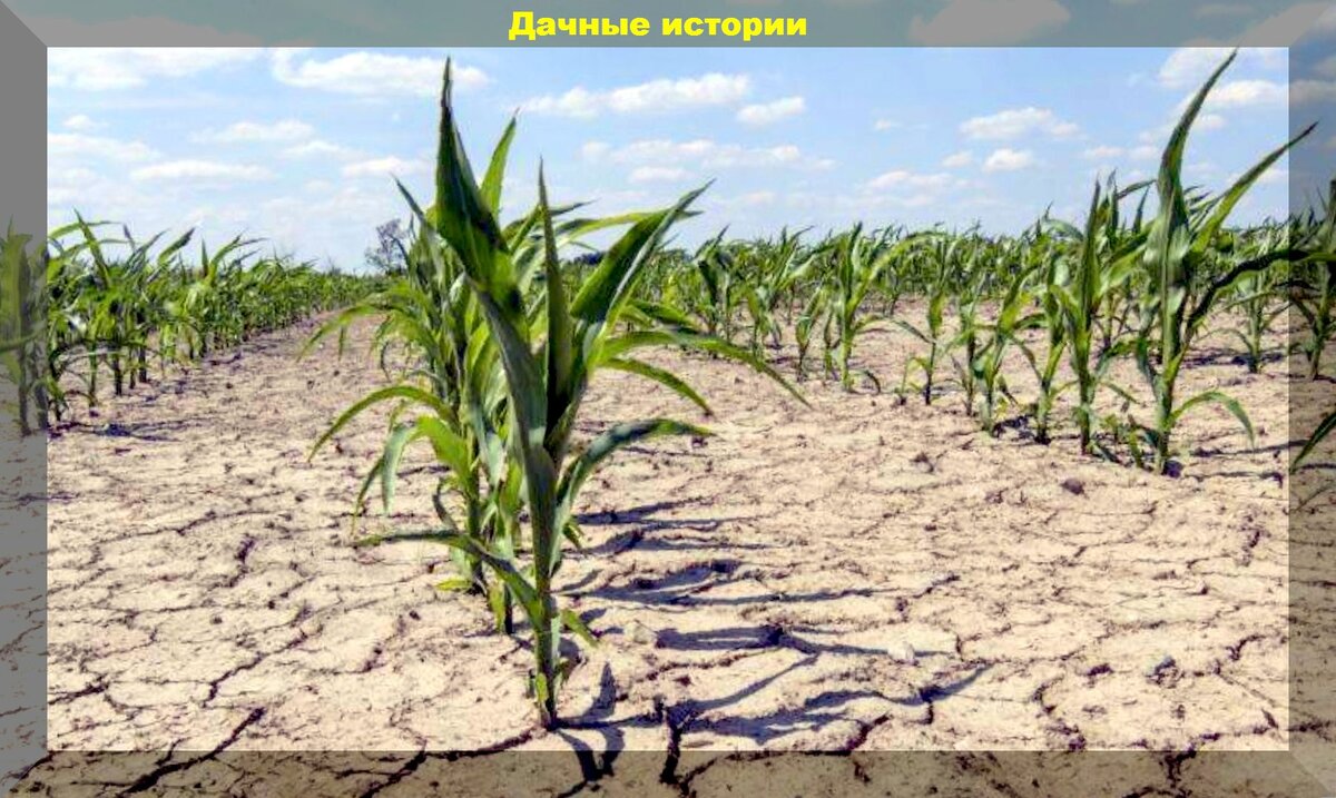 https://vk.com/photo-159774511_457247958