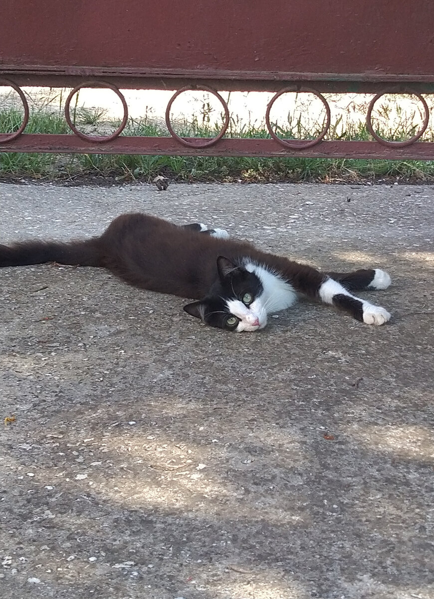 фото из личного архива