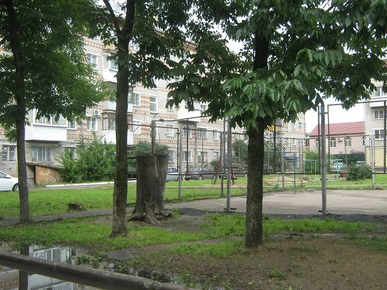 Вековые пни-исполины, сказочные колоды