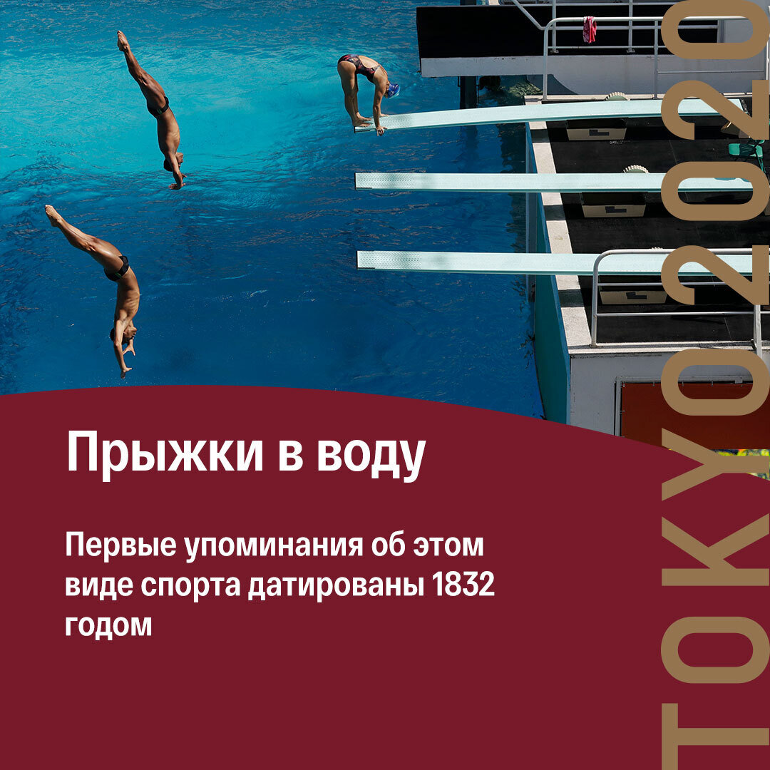 Прыжки в воду: интересные факты об олимпийской дисциплине | ВЕСТИ | Дзен