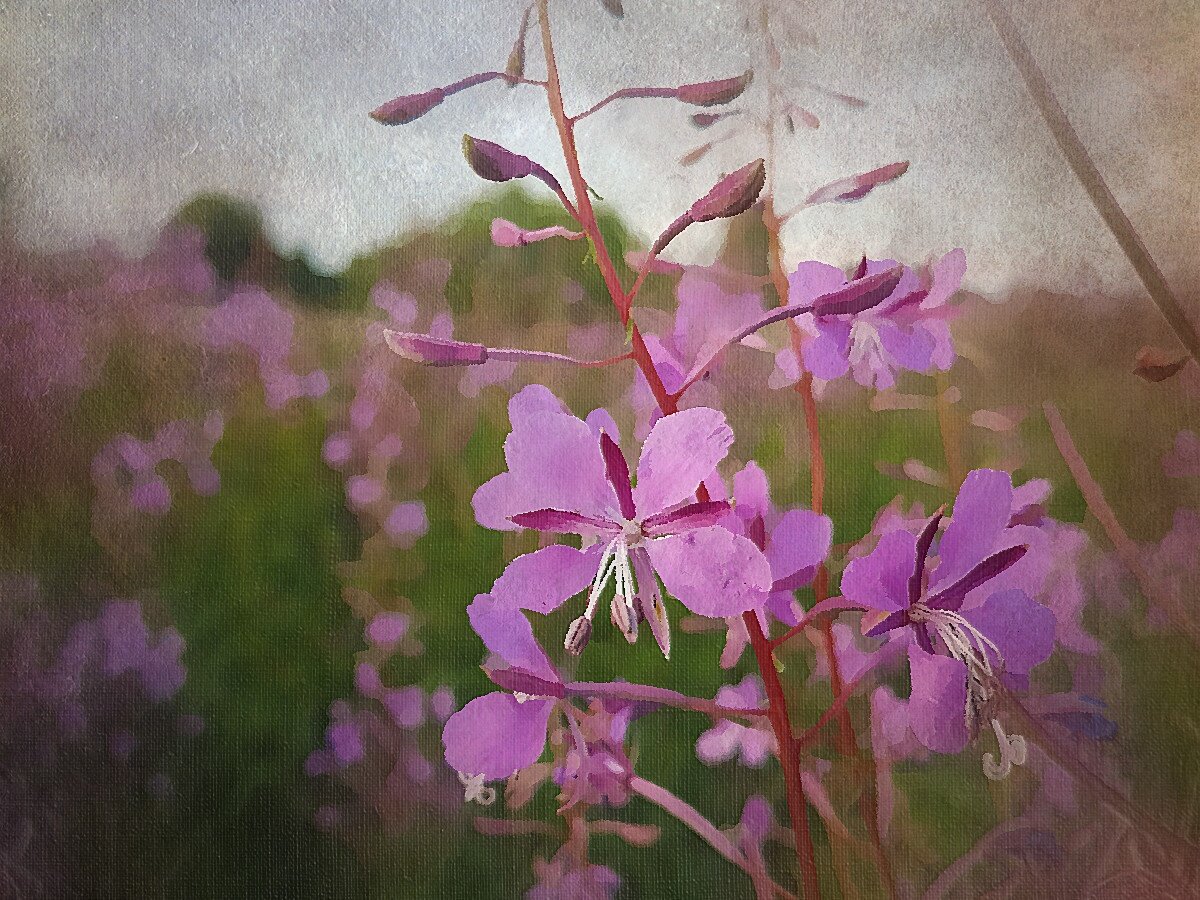 Для иллюстрации использована обработанная фотография с бесплатного фотостока pixabay.com