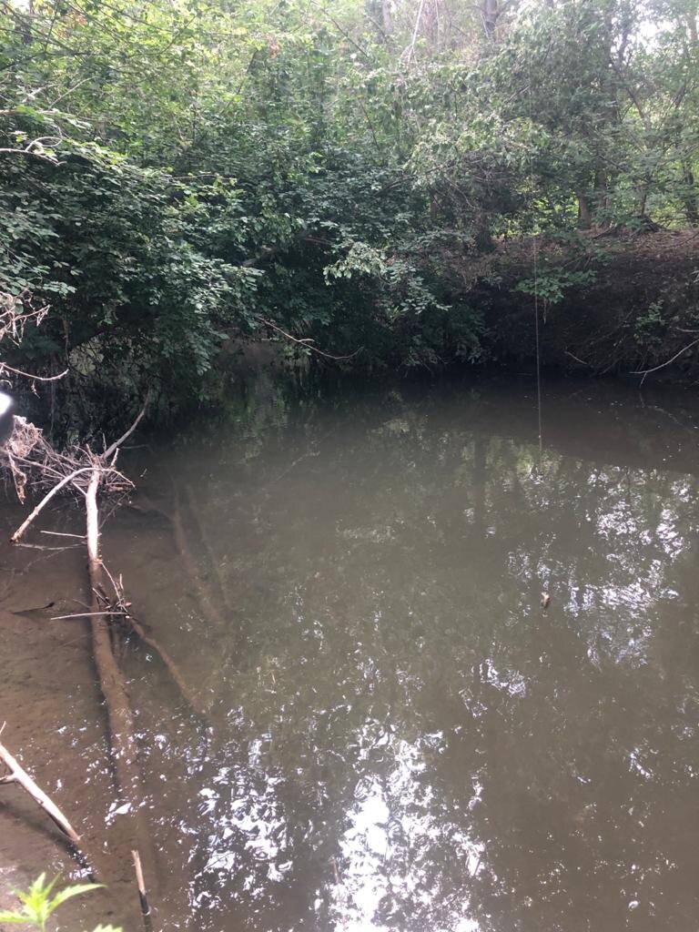 очень люблю малые реки нашей Башкирии