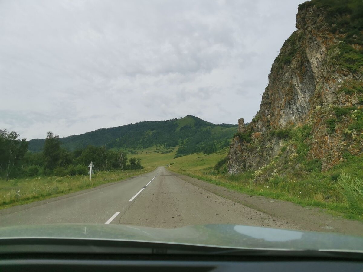 Две дороги, два пути. Впечатления от маршрута Черга-Усть-Кокса на Горном  Алтае | Пингвин-путешественник | Дзен