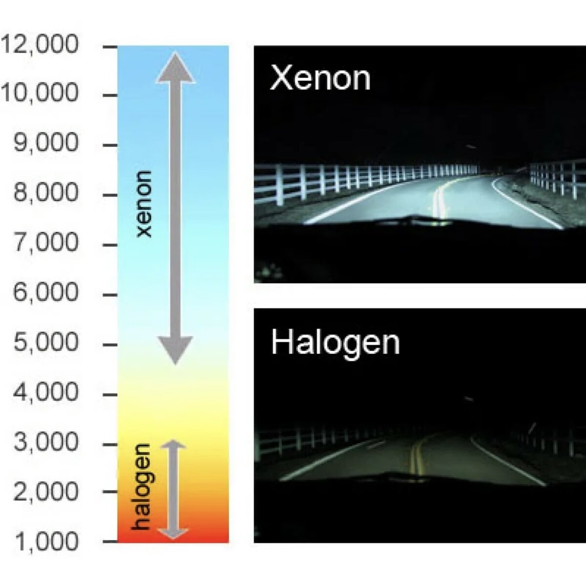 Разница света ксенон и галоген