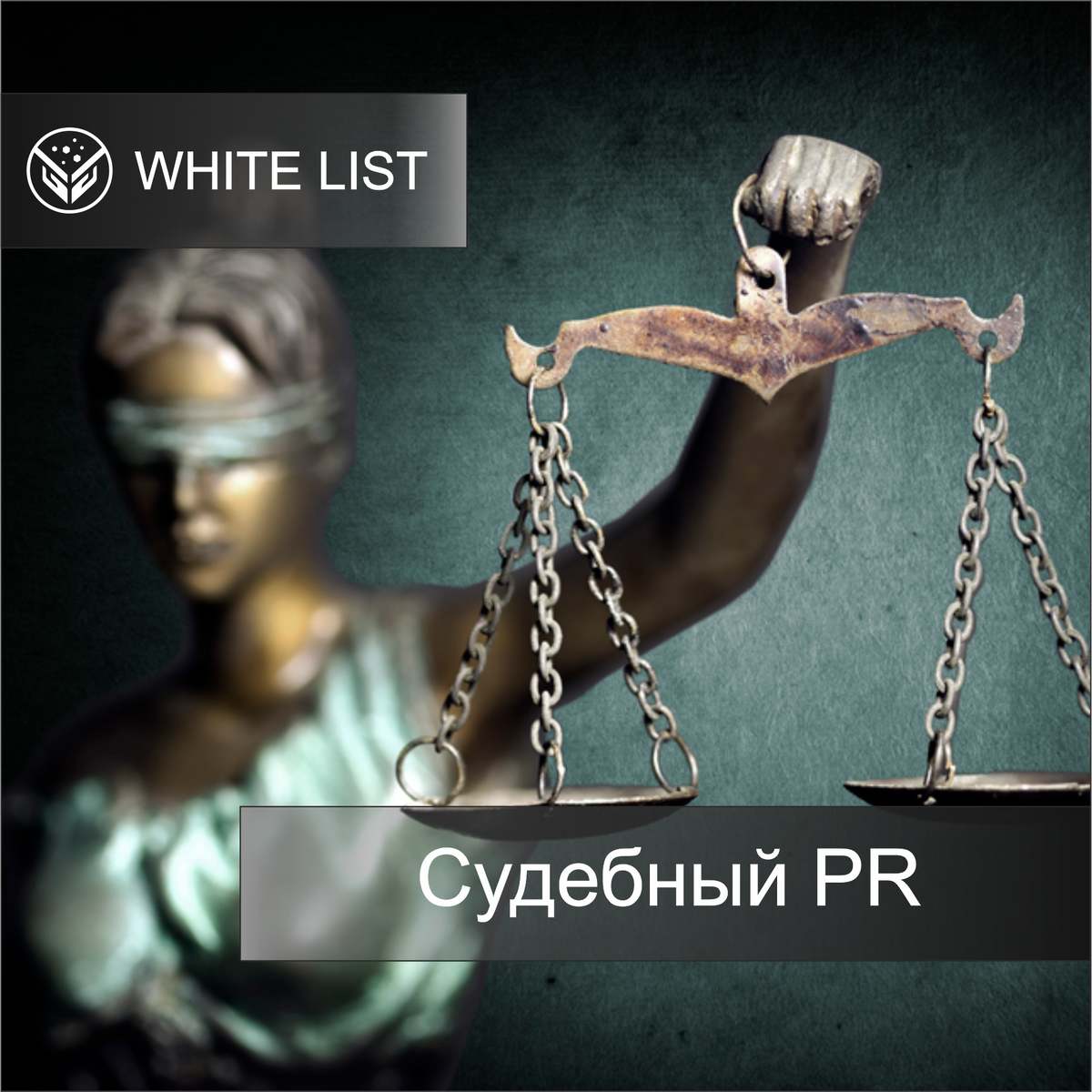 Судебный PR