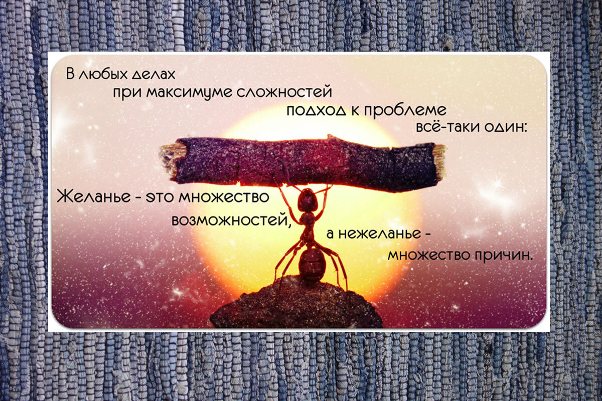 Фото из открытых источников: https://psyfiles.ru/