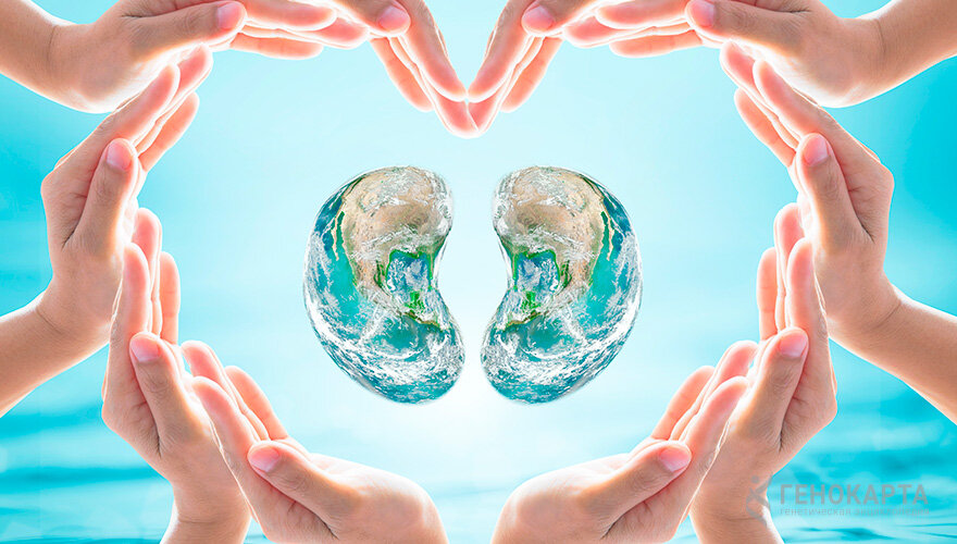 Chinnapong // shutterstock.com