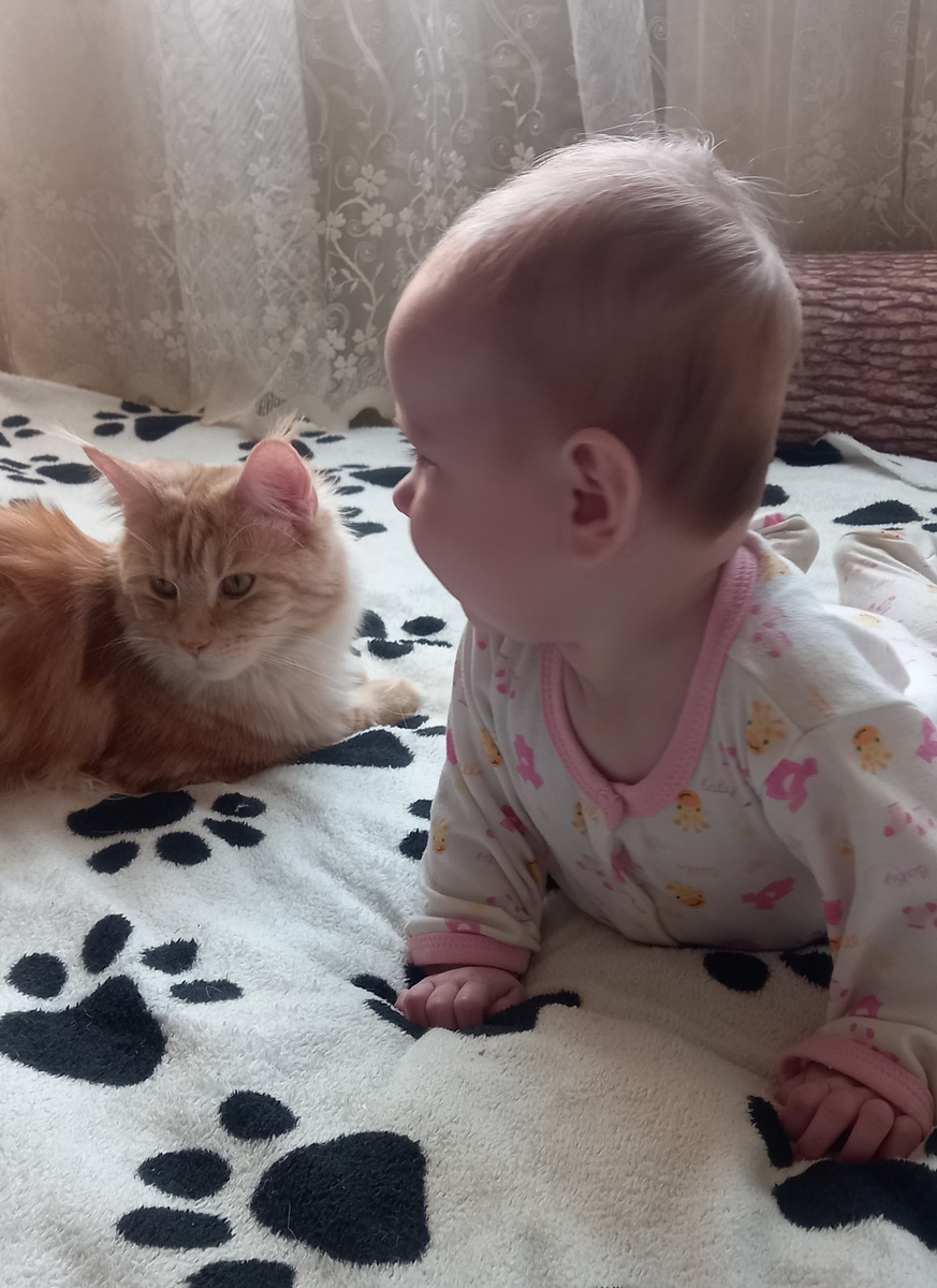 Любимых детей содержать теперь затратно...