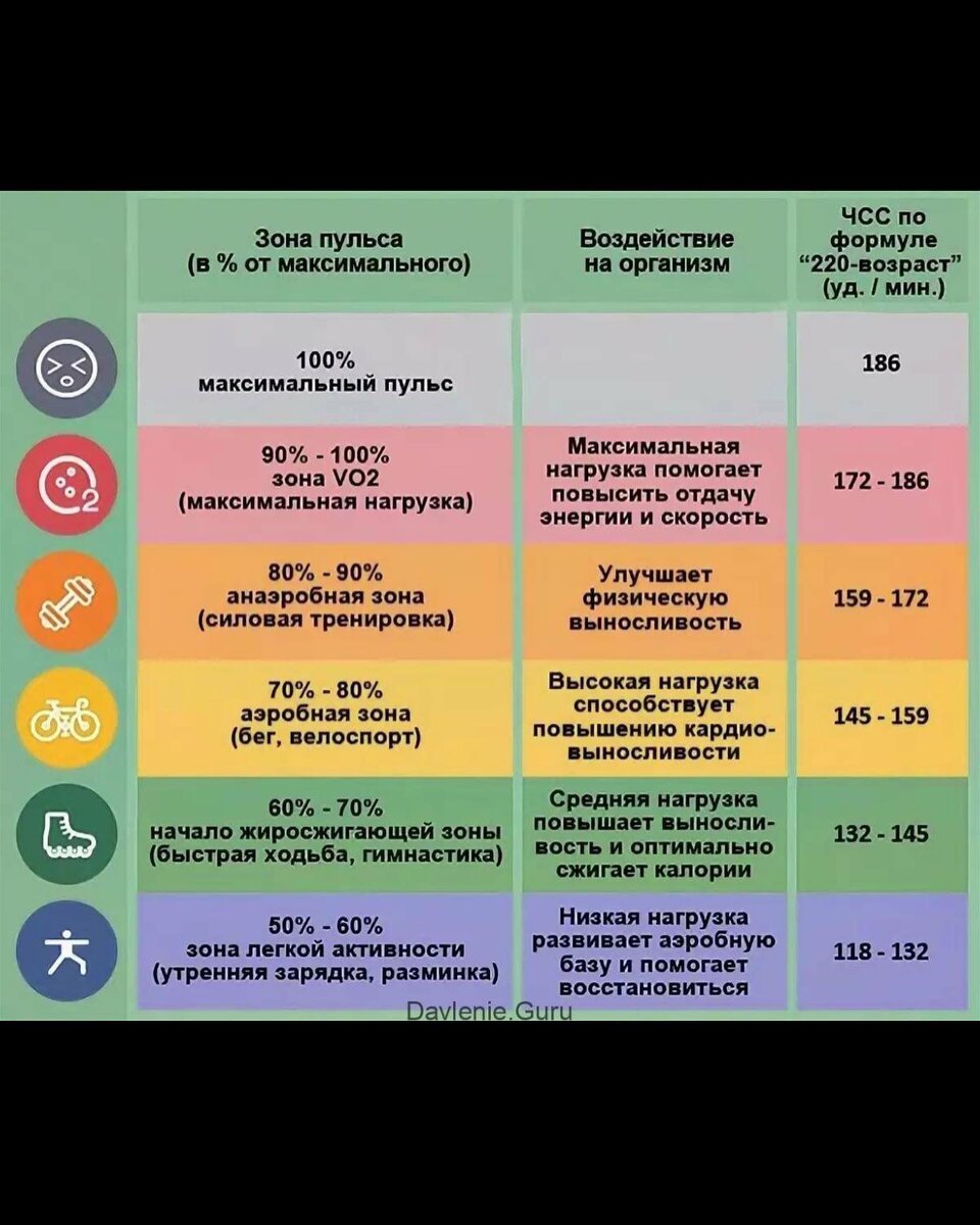 Как сделать кардио наиболее эффективным? Находись в пульсовой зоне и  занимайся не более 30 минут | Хитрый лис | Дзен