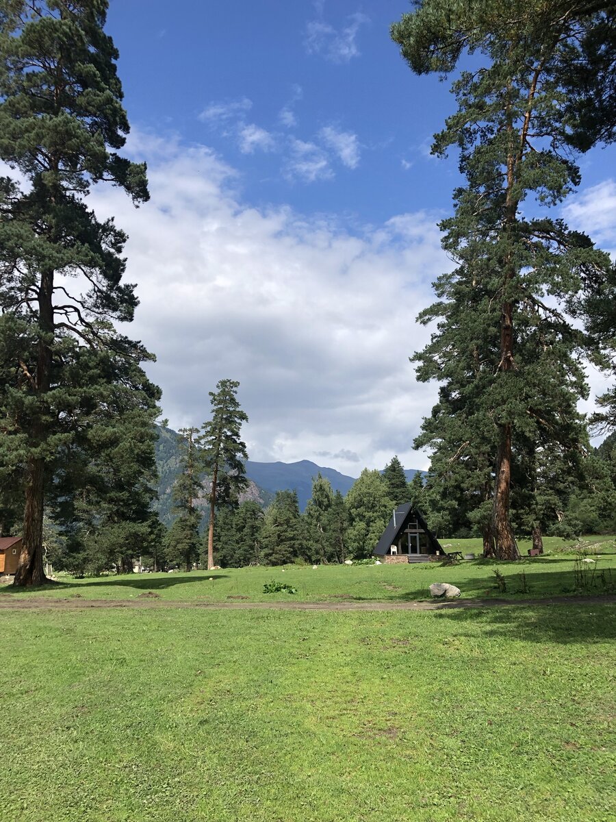 Территория кемпинга 