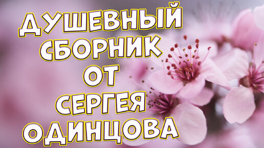 Сборник от Сергея Одинцова | Сергей Одинцов-автор исполнитель | Дзен
