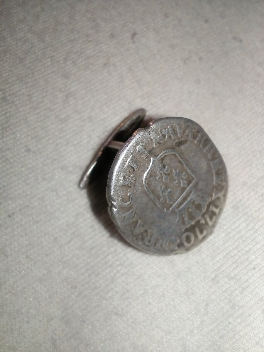 А может, это потерял аристократ, сбежавший от французской революции? И гордо носил эти цацки с королевскими лилиями?