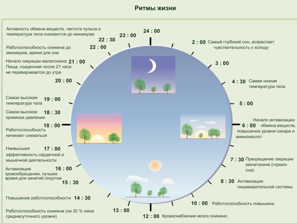 фото источник кассис-стоматология.рф