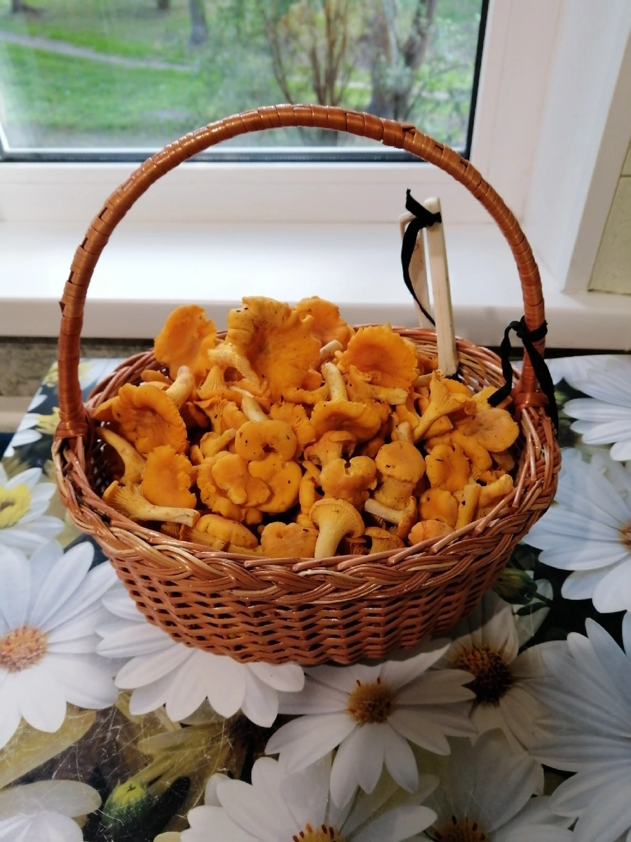  И нам достанутся ,скоро подсушенные приедут к нам в Крым .А мы потом отправим орехов ,обмен такой у нас)