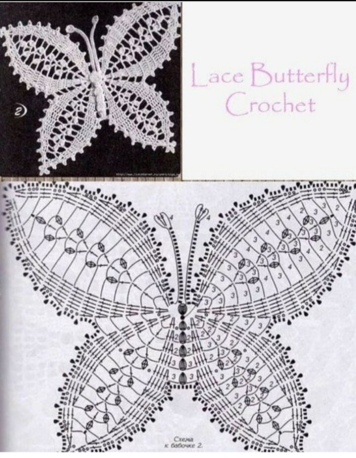 Pin on Uncinetto casa in 2025 Crochet butterfly, Crochet feather, Cozy crochet p