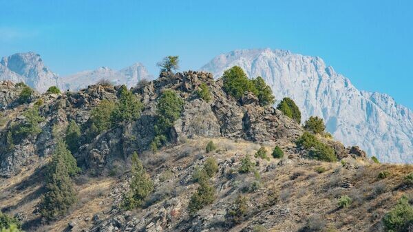   © pexels.com/Ruslan Ayupov