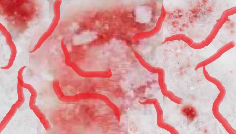 Надо же какую-то картинку! Вот попытался рисовать красным на белом.