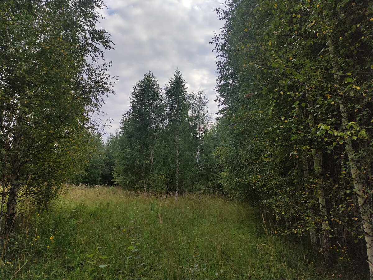 Небо хмурится