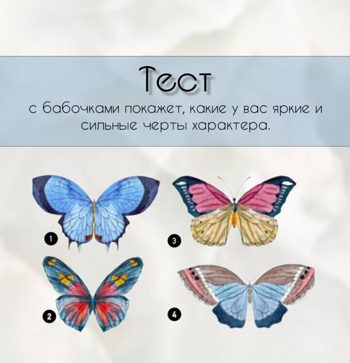 выберите бабочку