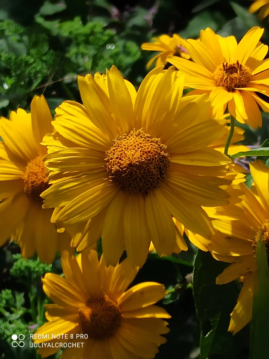 Личный архив