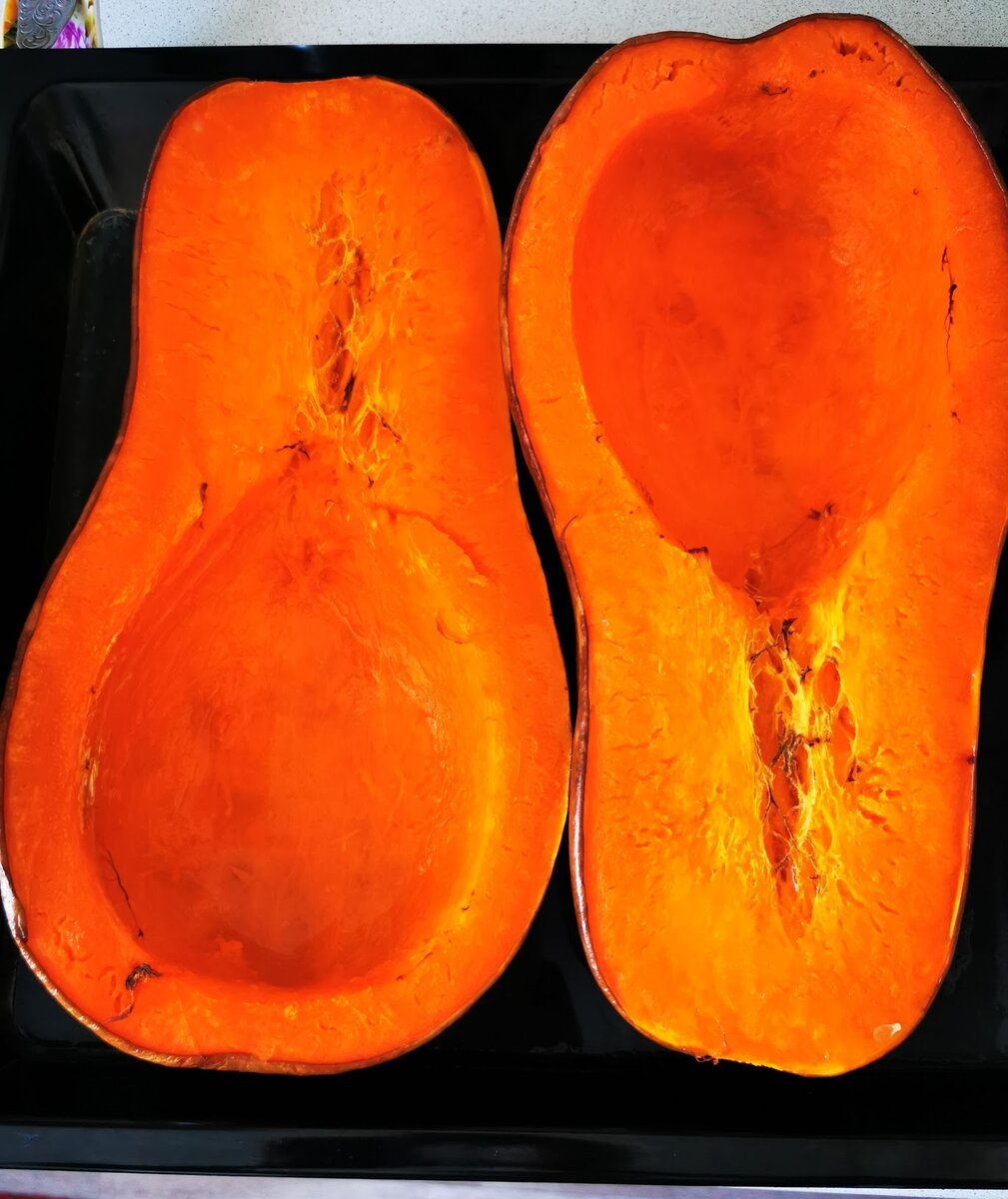 Печеная тыква сорта Ракета