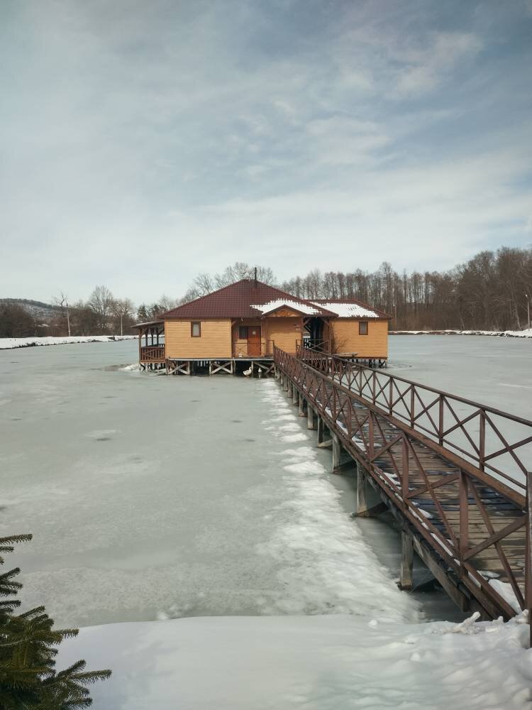 Один из домиков на воде, под которым пригрелись гуси.