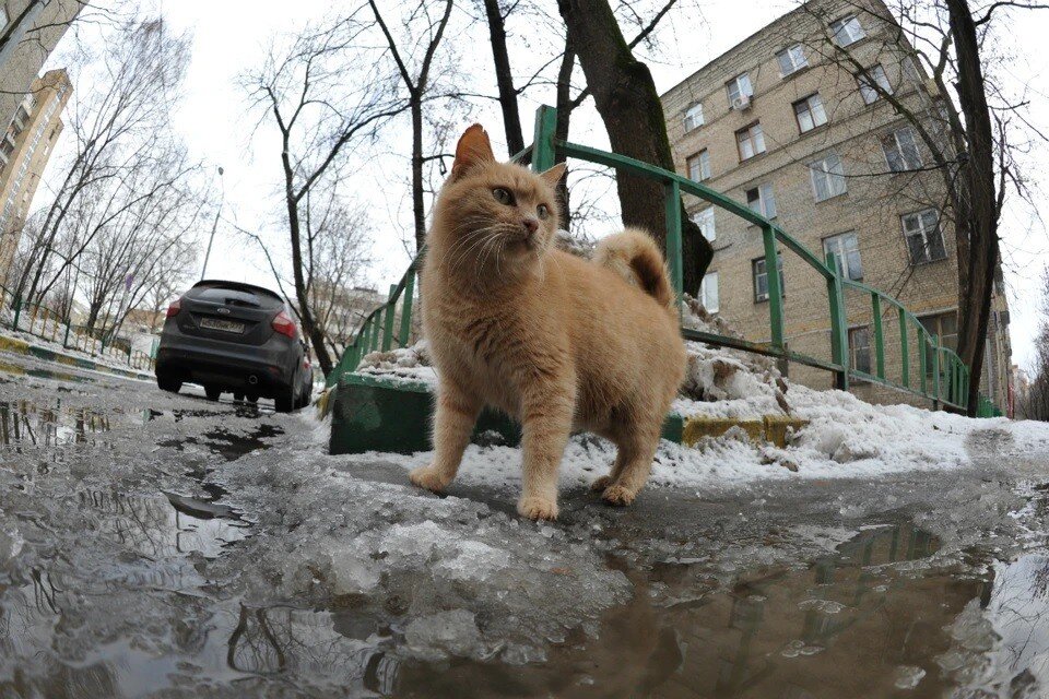     Зима в Москве была на 1,2 градуса выше климатической нормы Михаил ФРОЛОВ