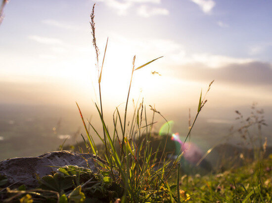     Человек не может прожить без радости, которая возникает под действием дофамина. / canva.com