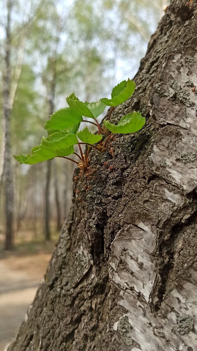 Фото автора 9 мая 2021 