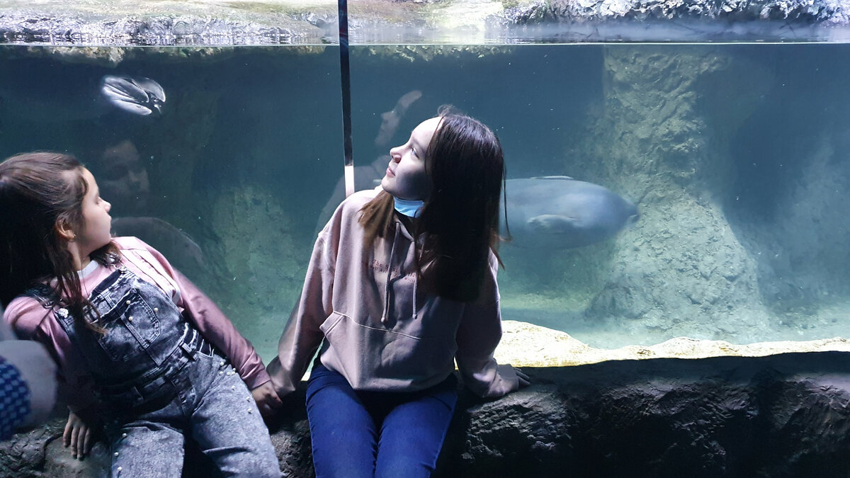 Не успела оглянуться, а они такие взрослые...