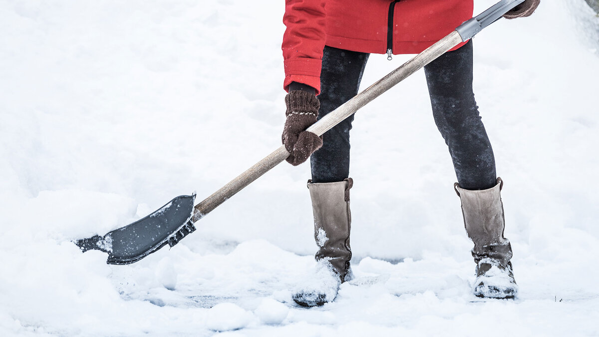 Фото из свободного доступа сети Интернет