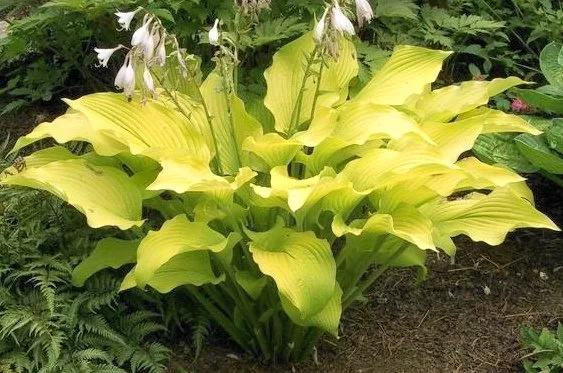 Фото взято из открытых источников. 