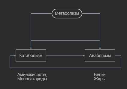 Не судите строго, рисовал в Paint