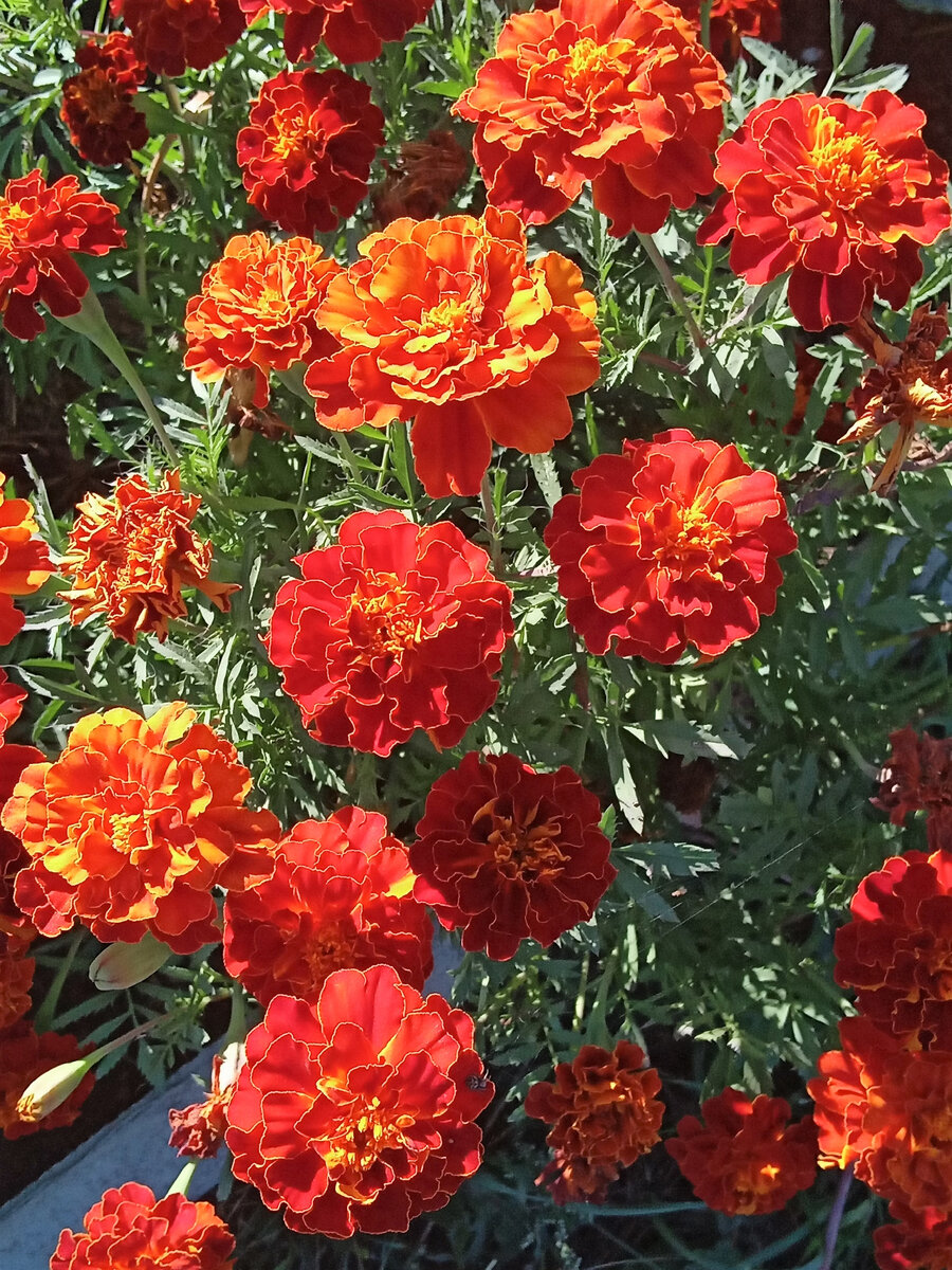 Скоро лето фото автора канала.