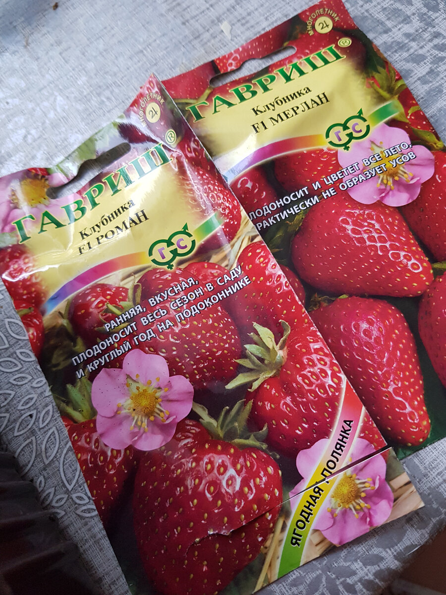 Долго я за ней охотилась, хотела именно с красными цветами клубнику 🌺