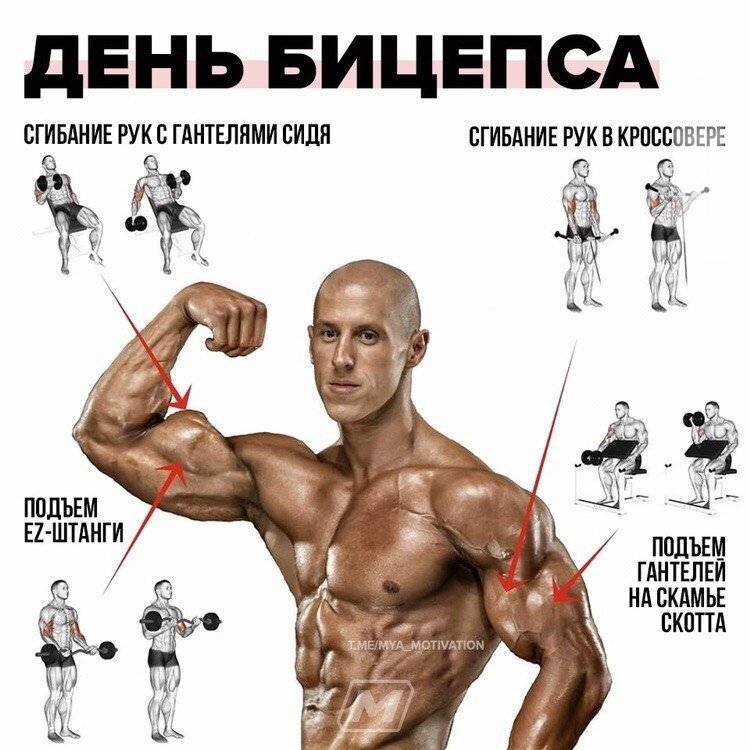 Упражнения на дельты в зале