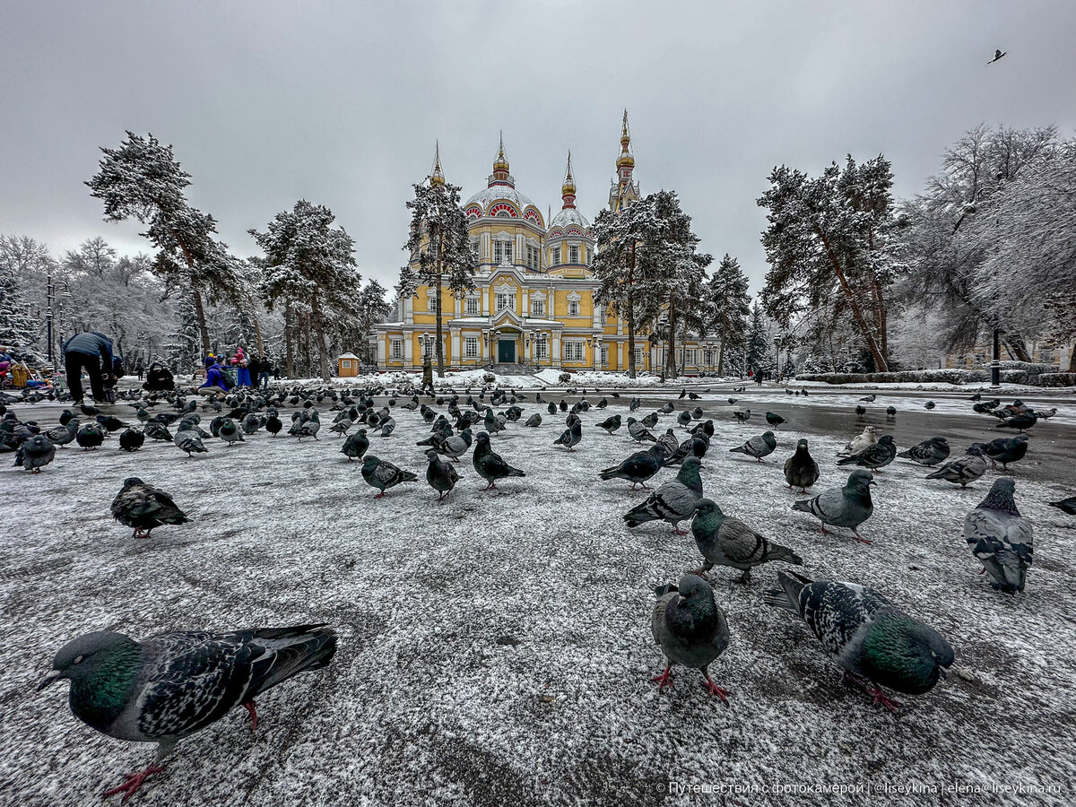 Чем удивляет Алматы, когда приезжаешь туда впервые? | Путешествия с  фотокамерой | Дзен