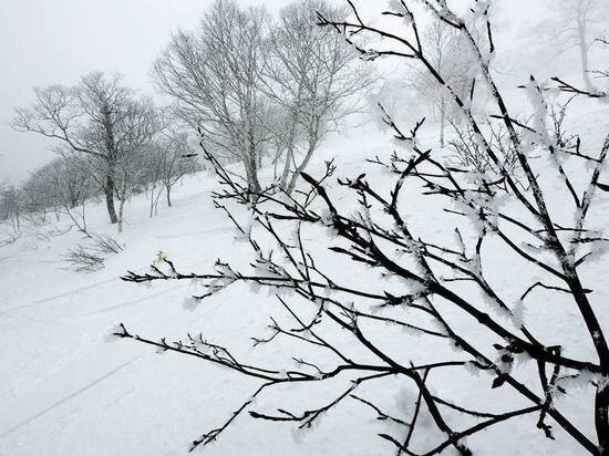 Фото: Анна Ромахина