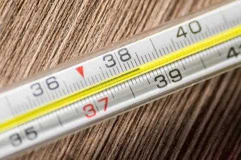 взято из общего доступа